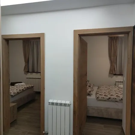 Grudvica