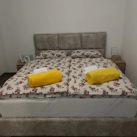 Apartment Grudvica